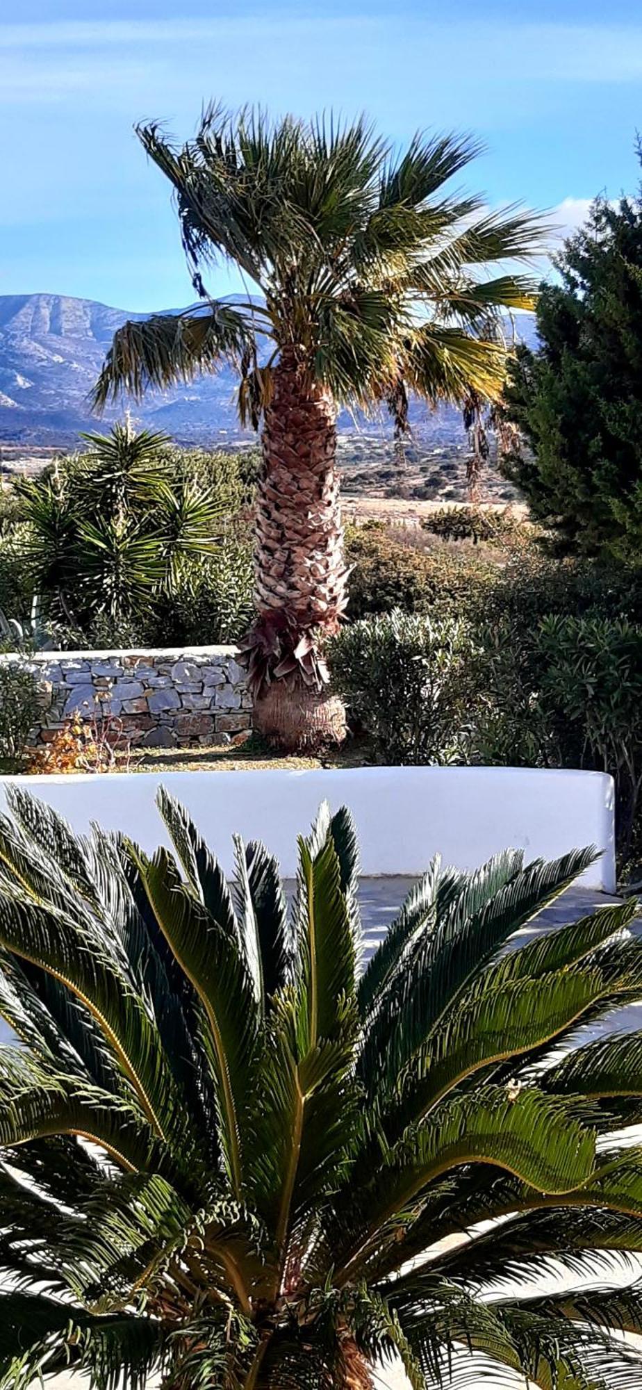 Apartamento Haus Asterakia Aliko Beach Exterior foto
